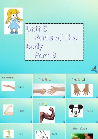 三年级英语下册 Unit 5 Parts of the Body Part B课件3 闽教版（三起）-闽教版小学三年级下册英语课件