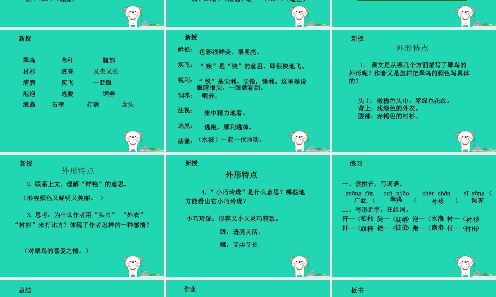 三年级语文上册 5《鸟儿》翠鸟（第1课时）课件 北师大版-北师大版小学三年级上册语文课件