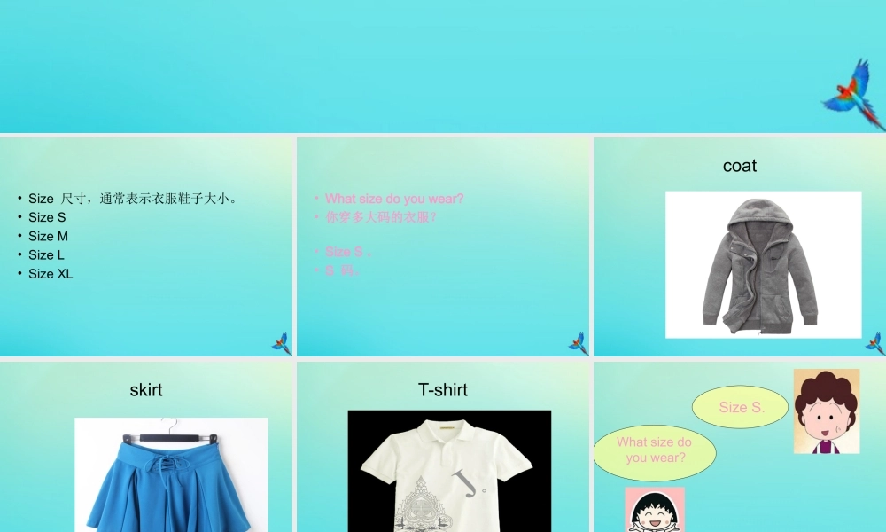 三年级英语下册 Unit 6 Clothes（1）Part A课件1 闽教版（三起）-闽教版小学三年级下册英语课件
