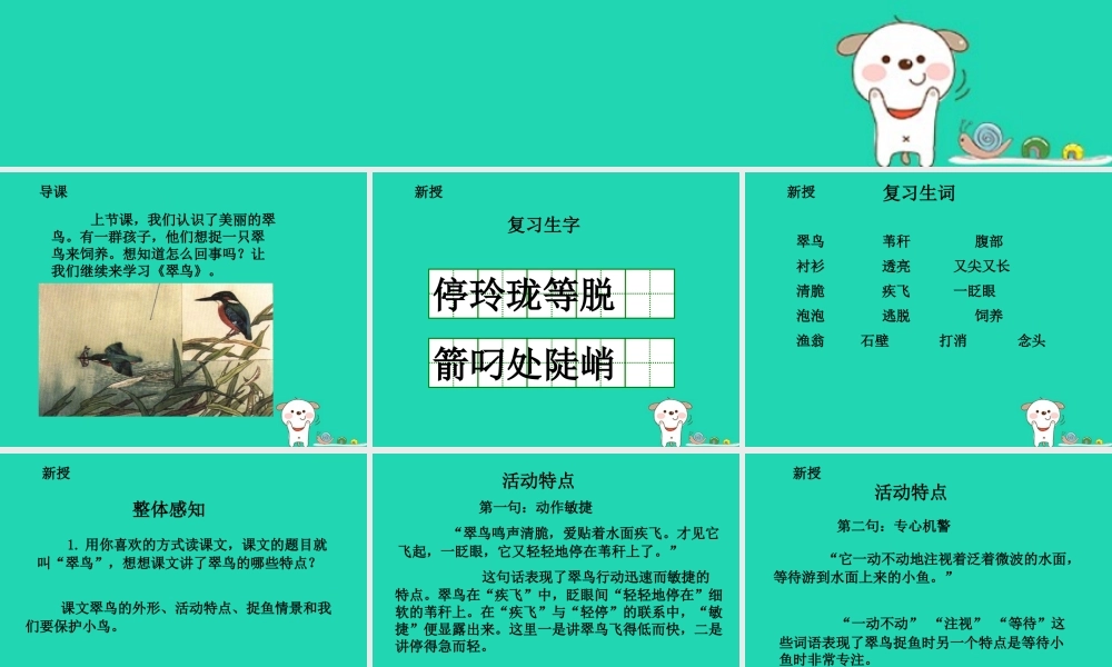 三年级语文上册 5《鸟儿》翠鸟（第2课时）课件 北师大版-北师大版小学三年级上册语文课件