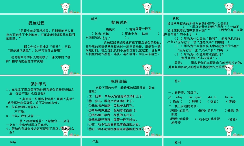 三年级语文上册 5《鸟儿》翠鸟（第2课时）课件 北师大版-北师大版小学三年级上册语文课件