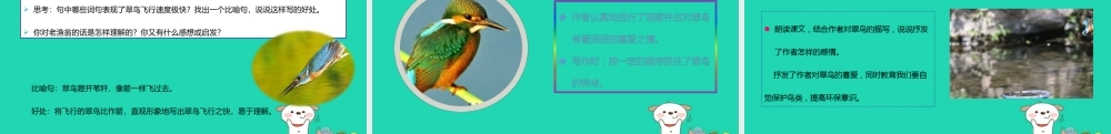 三年级语文上册 5《鸟儿》翠鸟教学课件 北师大版-北师大版小学三年级上册语文课件