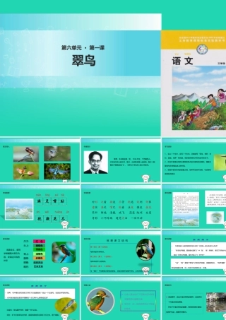 三年级语文上册 5《鸟儿》翠鸟教学课件 北师大版-北师大版小学三年级上册语文课件