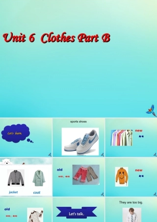 三年级英语下册 Unit 6 Clothes（1）Part B课件1 闽教版（三起）-闽教版小学三年级下册英语课件