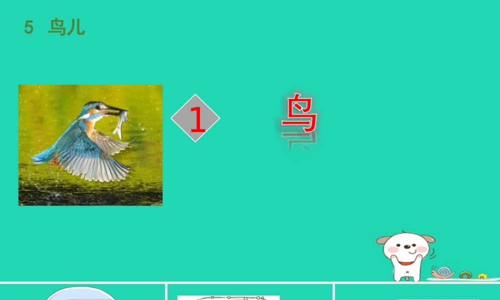 三年级语文上册 5《鸟儿》翠鸟课件 北师大版-北师大版小学三年级上册语文课件