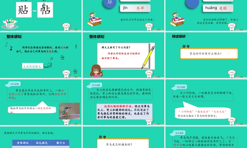 三年级语文上册 5《鸟儿》翠鸟课件 北师大版-北师大版小学三年级上册语文课件