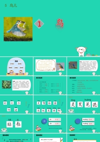 三年级语文上册 5《鸟儿》翠鸟课件 北师大版-北师大版小学三年级上册语文课件