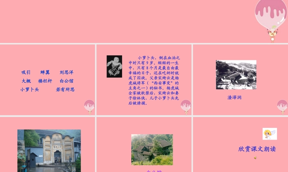 三年级语文上册 第一单元 小萝卜头课件1 西师大版-西师大版小学三年级上册语文课件