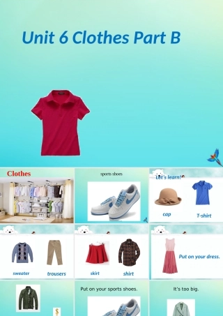 三年级英语下册 Unit 6 Clothes（1）Part B课件2 闽教版（三起）-闽教版小学三年级下册英语课件