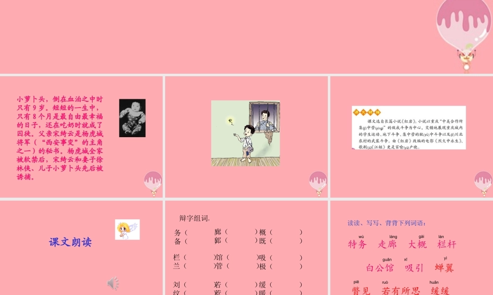 三年级语文上册 第一单元 小萝卜头课件2 西师大版-西师大版小学三年级上册语文课件