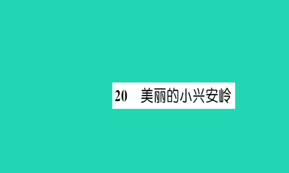 三年级语文上册 第6单元 20美丽的小兴安岭习题课件 新人教版-新人教版小学三年级上册语文课件