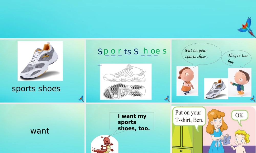 三年级英语下册 Unit 6 Clothes（1）Part B课件3 闽教版（三起）-闽教版小学三年级下册英语课件