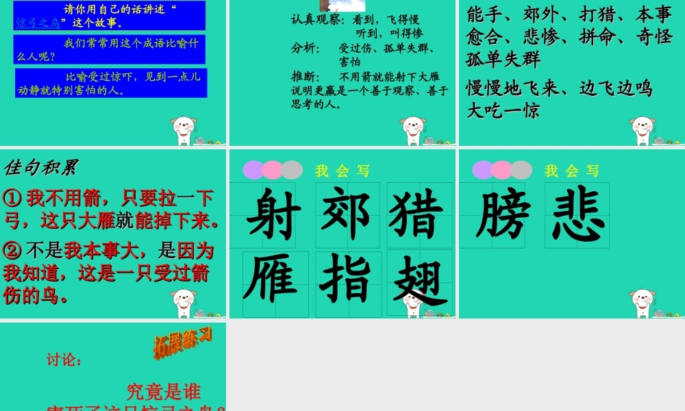 三年级语文上册 5《鸟儿》惊弓之鸟课件 北师大版