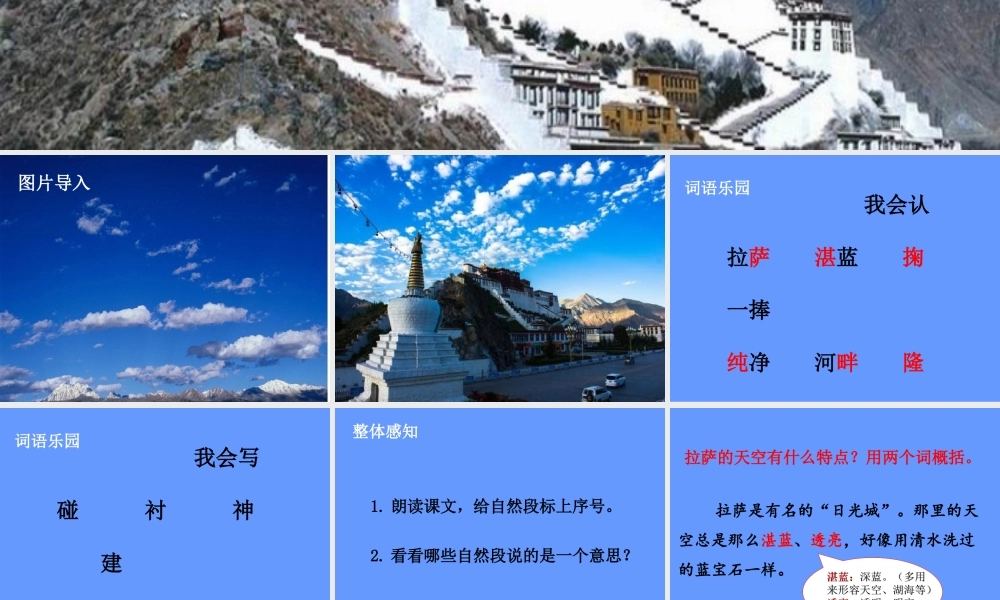 三年级语文上册 第三单元 8 拉萨的天空课件 鄂教版