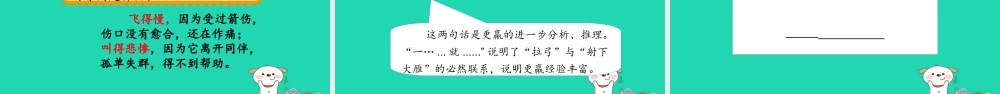 三年级语文上册 5《鸟儿》惊弓之鸟课件 北师大版-北师大版小学三年级上册语文课件