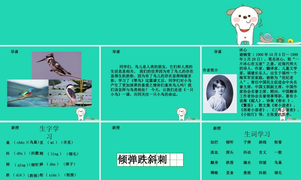 三年级语文上册 5《鸟儿》一只小鸟（第1课时）课件 北师大版