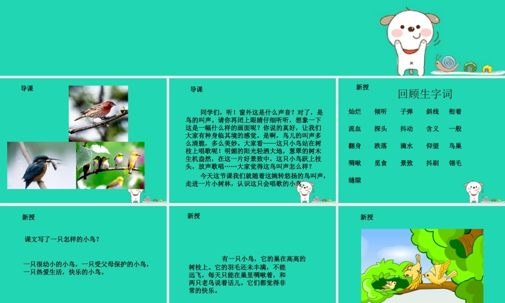 三年级语文上册 5《鸟儿》一只小鸟（第2课时）课件 北师大版