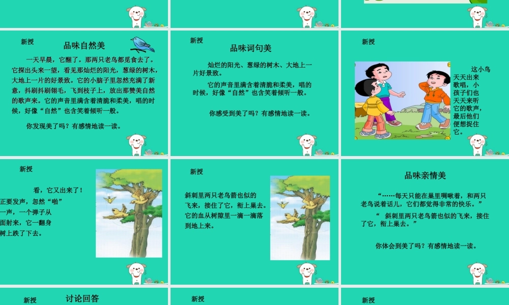 三年级语文上册 5《鸟儿》一只小鸟（第2课时）课件 北师大版