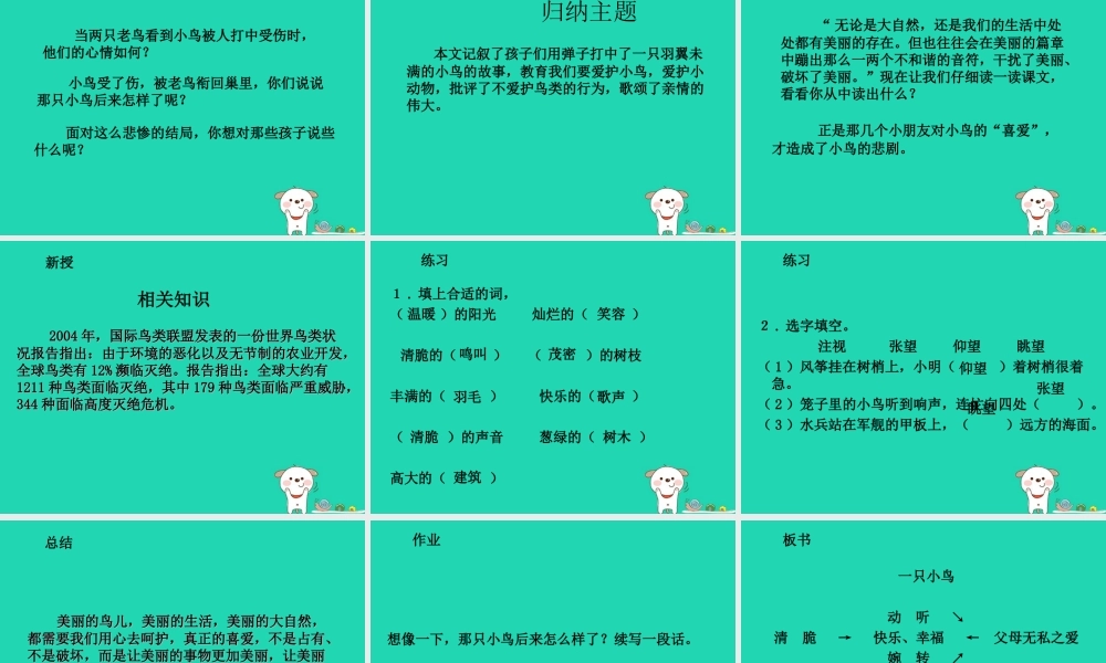 三年级语文上册 5《鸟儿》一只小鸟（第2课时）课件 北师大版