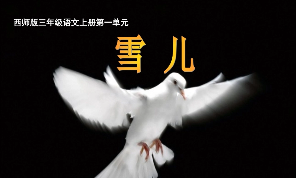 三年级语文上册 第一单元 雪儿课件1 西师大版-西师大版小学三年级上册语文课件