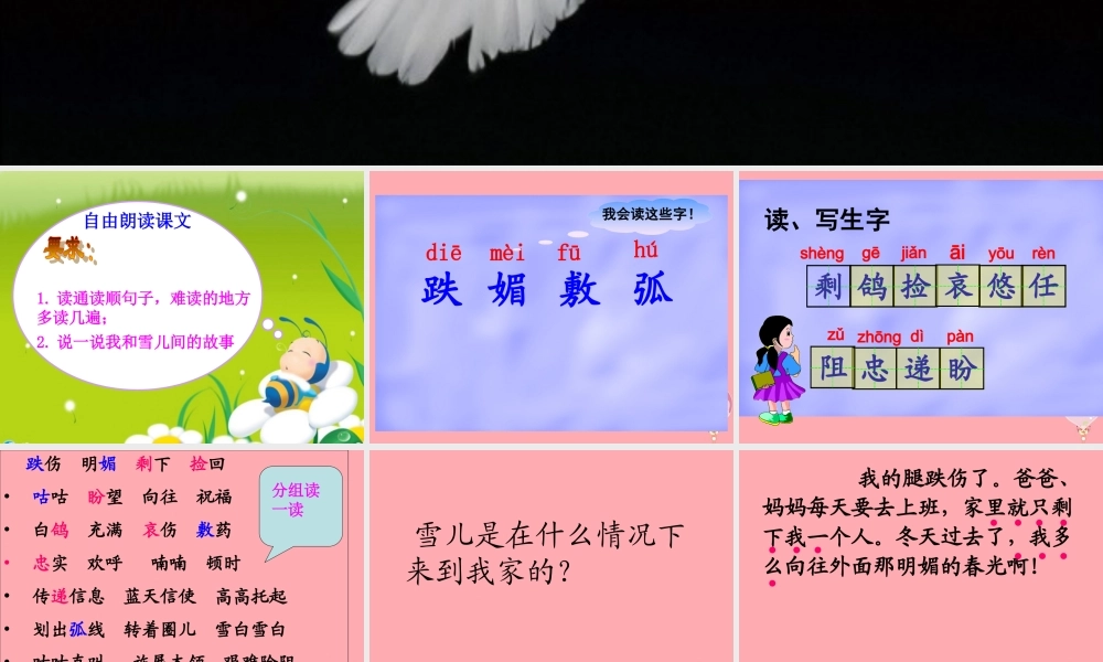 三年级语文上册 第一单元 雪儿课件1 西师大版-西师大版小学三年级上册语文课件