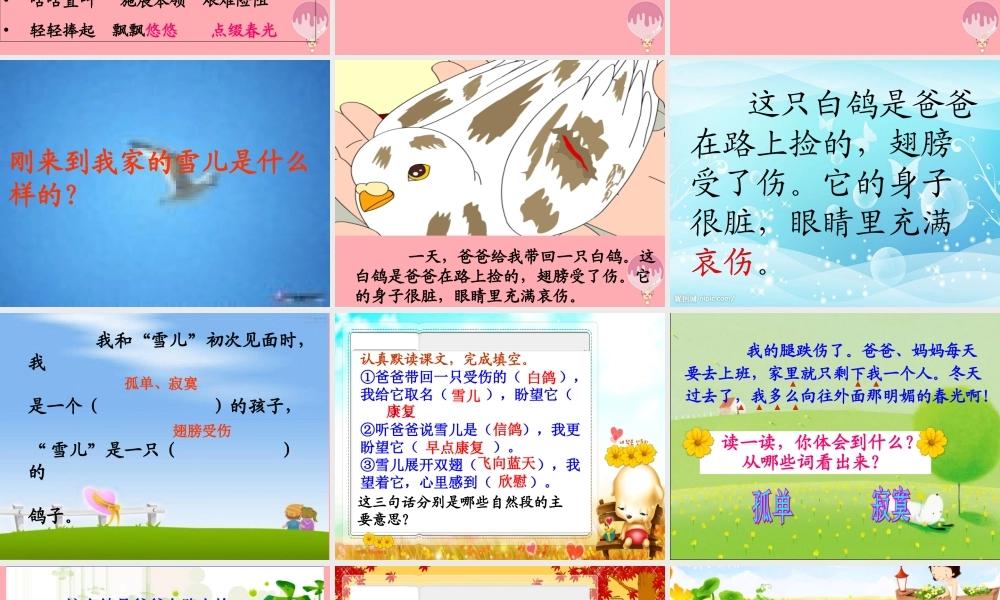 三年级语文上册 第一单元 雪儿课件1 西师大版-西师大版小学三年级上册语文课件