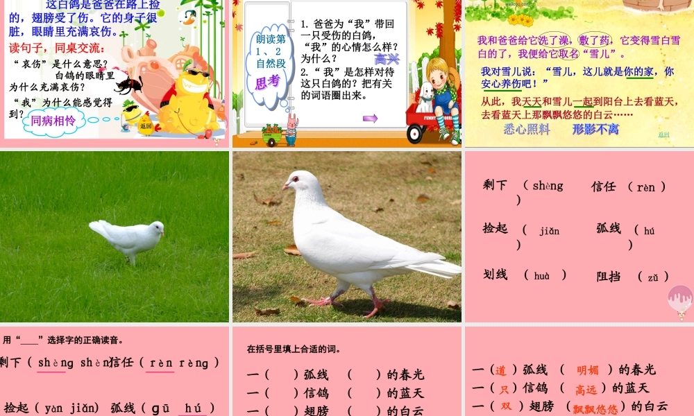 三年级语文上册 第一单元 雪儿课件1 西师大版-西师大版小学三年级上册语文课件