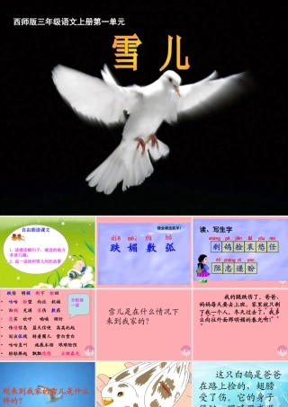 三年级语文上册 第一单元 雪儿课件1 西师大版-西师大版小学三年级上册语文课件