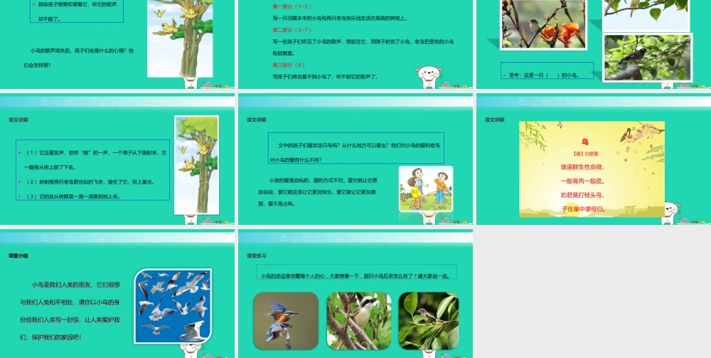 三年级语文上册 5《鸟儿》一只小鸟教学课件 北师大版-北师大版小学三年级上册语文课件