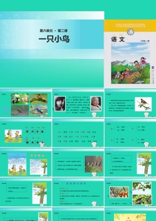 三年级语文上册 5《鸟儿》一只小鸟教学课件 北师大版-北师大版小学三年级上册语文课件