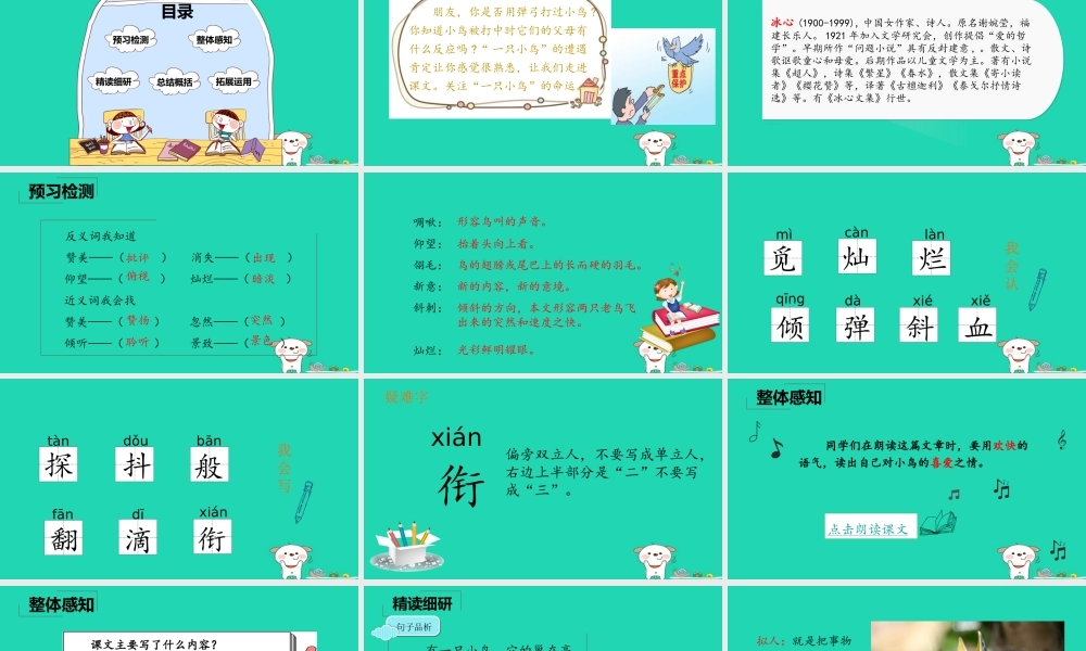 三年级语文上册 5《鸟儿》一只小鸟课件 北师大版-北师大版小学三年级上册语文课件