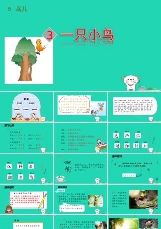 三年级语文上册 5《鸟儿》一只小鸟课件 北师大版-北师大版小学三年级上册语文课件