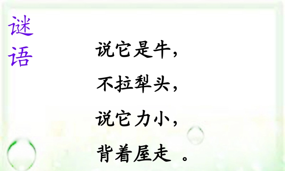 三年级语文上册 第6课 蜗牛课件 语文S版