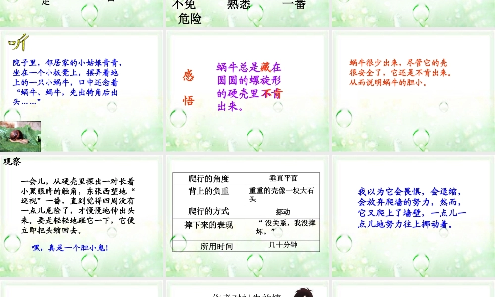 三年级语文上册 第6课 蜗牛课件 语文S版