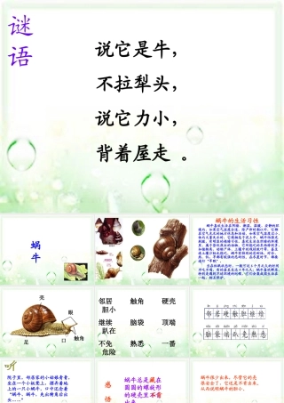 三年级语文上册 第6课 蜗牛课件 语文S版