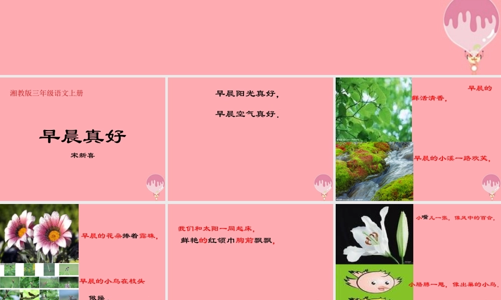 三年级语文上册 第一单元 早晨真好课件2 湘教版-湘教版小学三年级上册语文课件