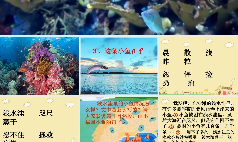 三年级语文上册 第一单元 这条小鱼在乎课件1 鄂教版-鄂教版小学三年级上册语文课件