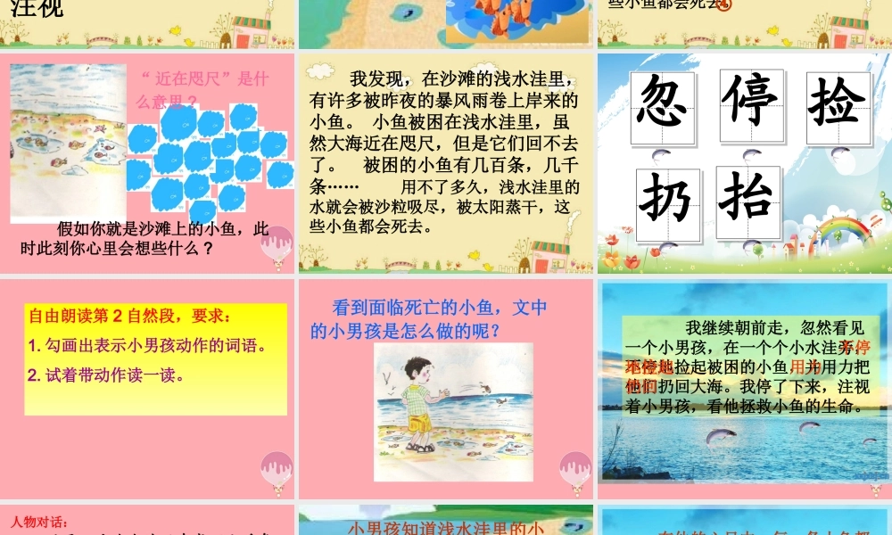 三年级语文上册 第一单元 这条小鱼在乎课件1 鄂教版-鄂教版小学三年级上册语文课件
