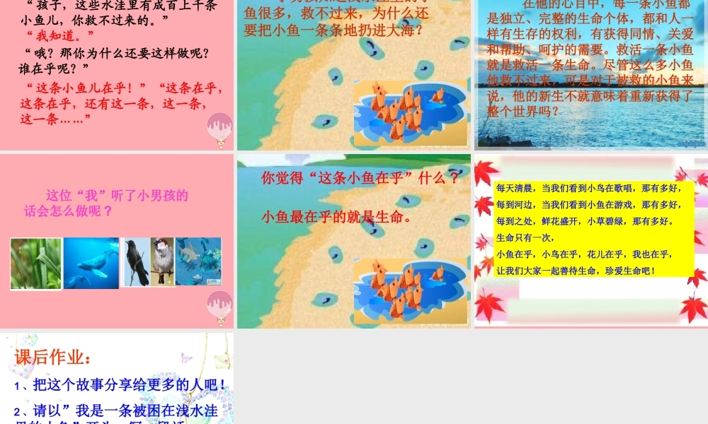 三年级语文上册 第一单元 这条小鱼在乎课件1 鄂教版-鄂教版小学三年级上册语文课件