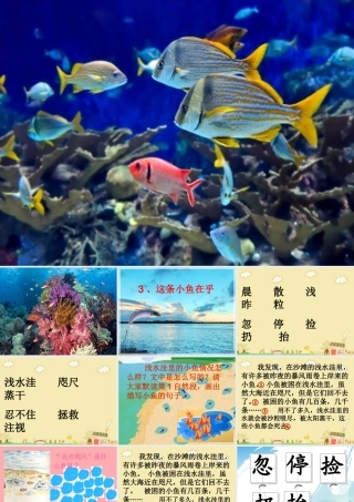 三年级语文上册 第一单元 这条小鱼在乎课件1 鄂教版-鄂教版小学三年级上册语文课件
