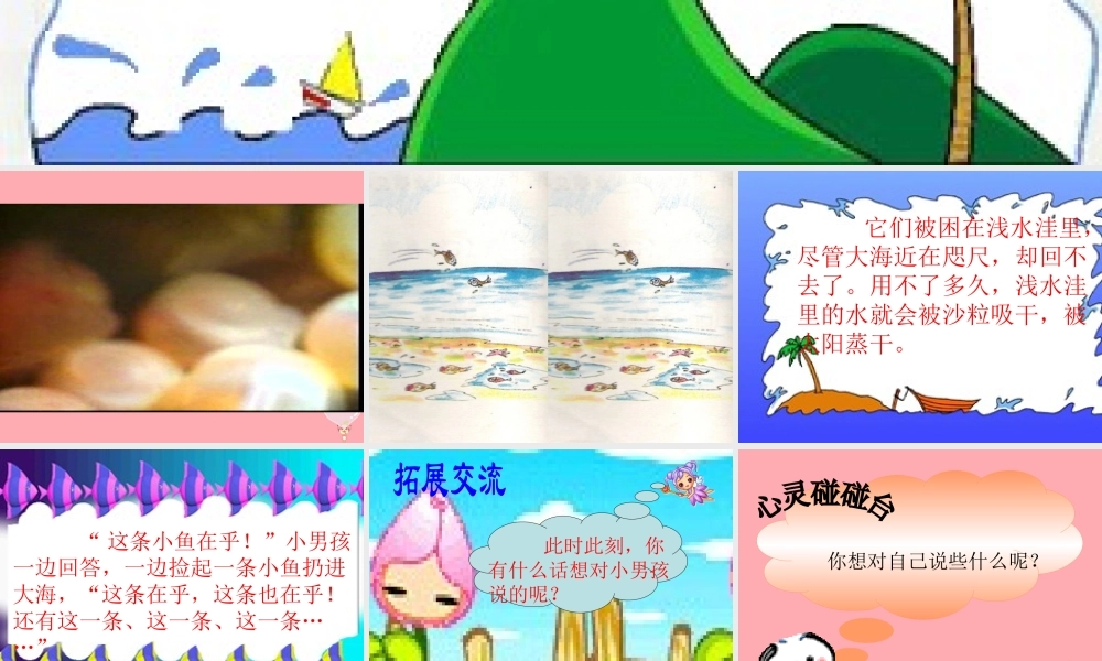 三年级语文上册 第一单元 这条小鱼在乎课件2 鄂教版-鄂教版小学三年级上册语文课件