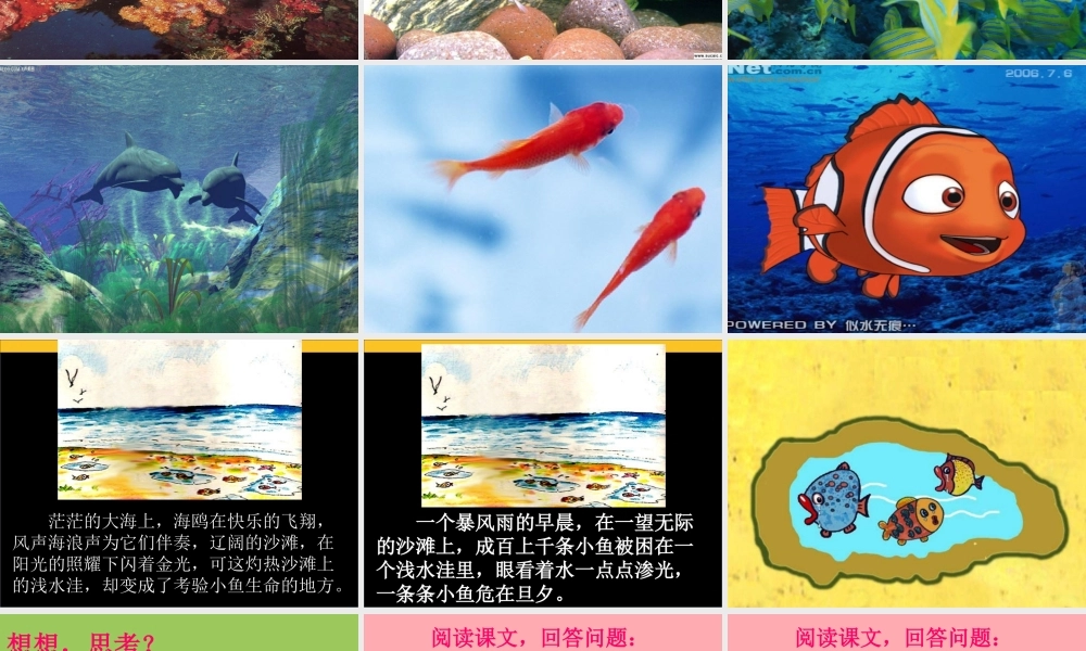 三年级语文上册 第一单元 这条小鱼在乎课件5 鄂教版-鄂教版小学三年级上册语文课件
