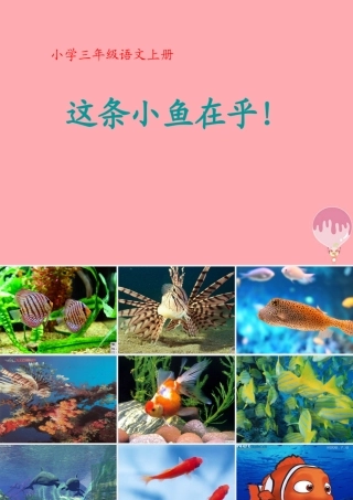 三年级语文上册 第一单元 这条小鱼在乎课件5 鄂教版-鄂教版小学三年级上册语文课件