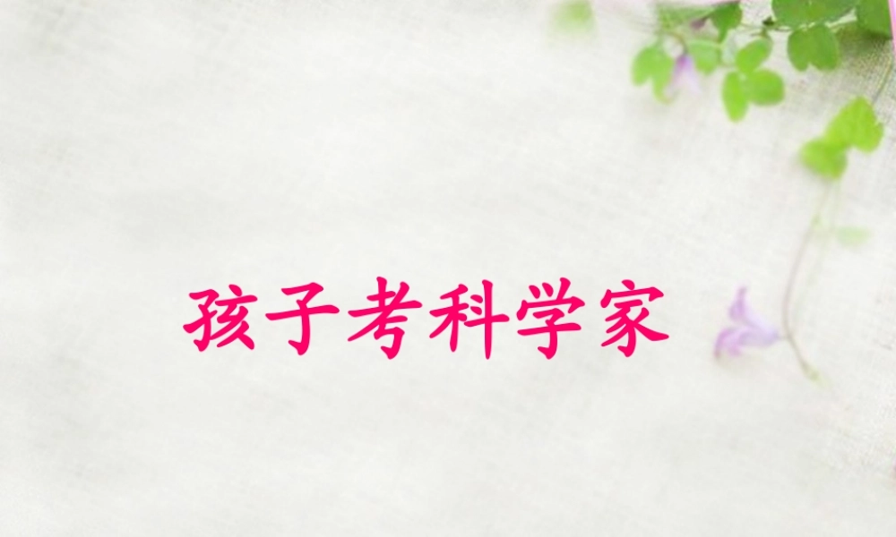 三年级语文上册 第11课《孩子考科学家》课件 语文S版