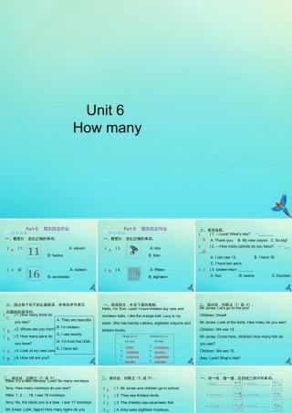 三年级英语下册 Unit 6 How many Part B周末自主作业习题课件 人教PEP版-人教PEP小学三年级下册英语课件