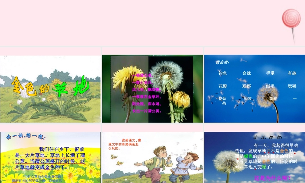 三年级语文上册 第一组 2 金色的草地课件 新人教版