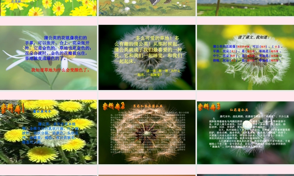 三年级语文上册 第一组 2 金色的草地课件 新人教版