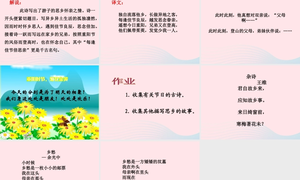 三年级语文上册 第三单元 9《古诗两首》九月九日忆山东兄弟教学课件 鲁教版-鲁教版小学三年级上册语文课件