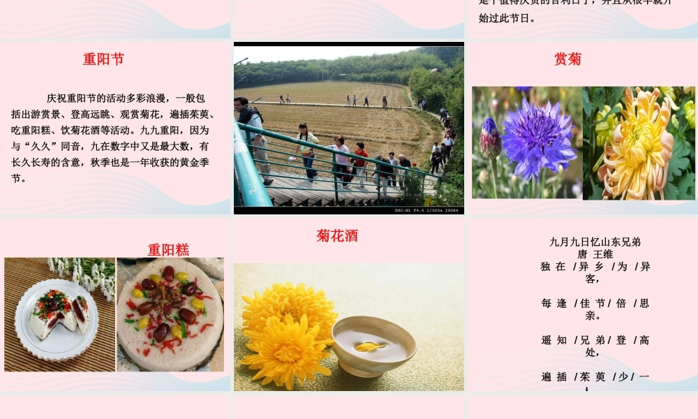 三年级语文上册 第三单元 9《古诗两首》九月九日忆山东兄弟课件1 鲁教版-鲁教版小学三年级上册语文课件