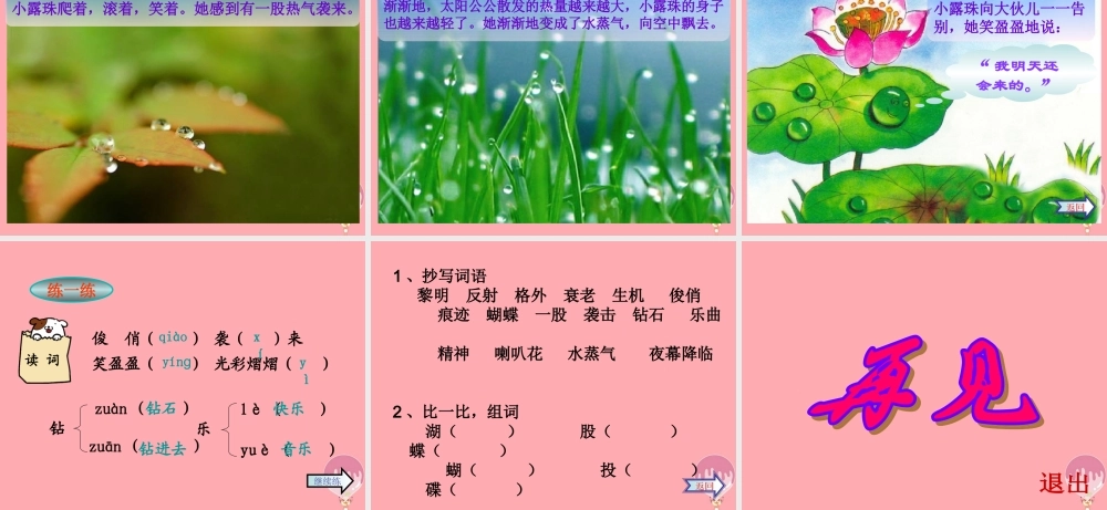 三年级语文上册 第15课 小露珠课件 苏教版-苏教版小学三年级上册语文课件